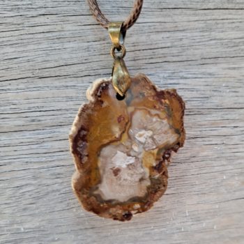 Petrified Wood